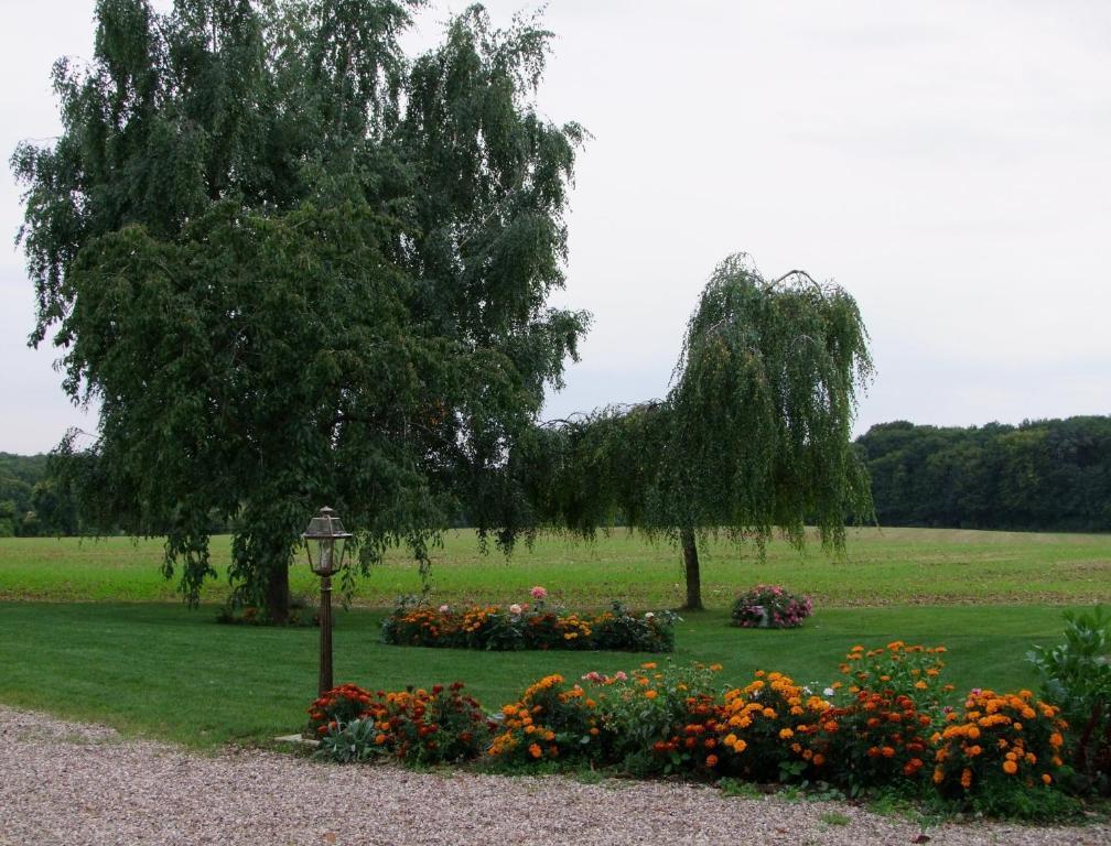 Domaine De Gondrange - Chambres D'Hotes Havange Dış mekan fotoğraf